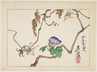 Vine and Seeds of Morning Glory, 1877 by Shibata Zeshin
